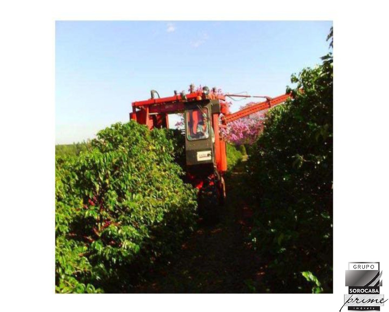 Fazenda, município de garça sp., R$350.000.000,00.