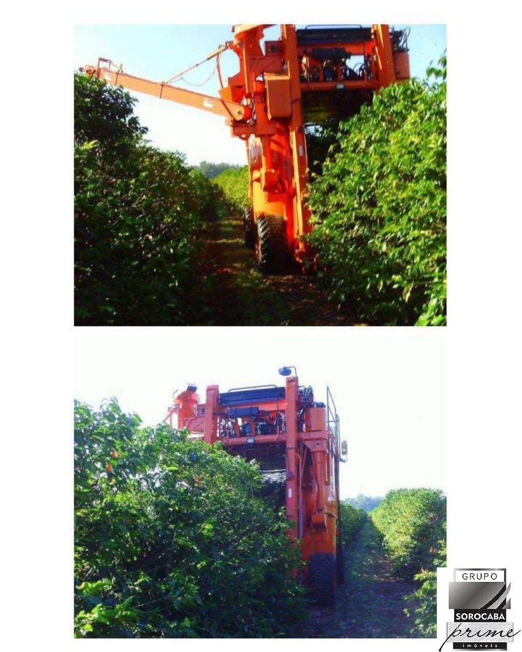 Fazenda, município de garça sp., R$350.000.000,00.