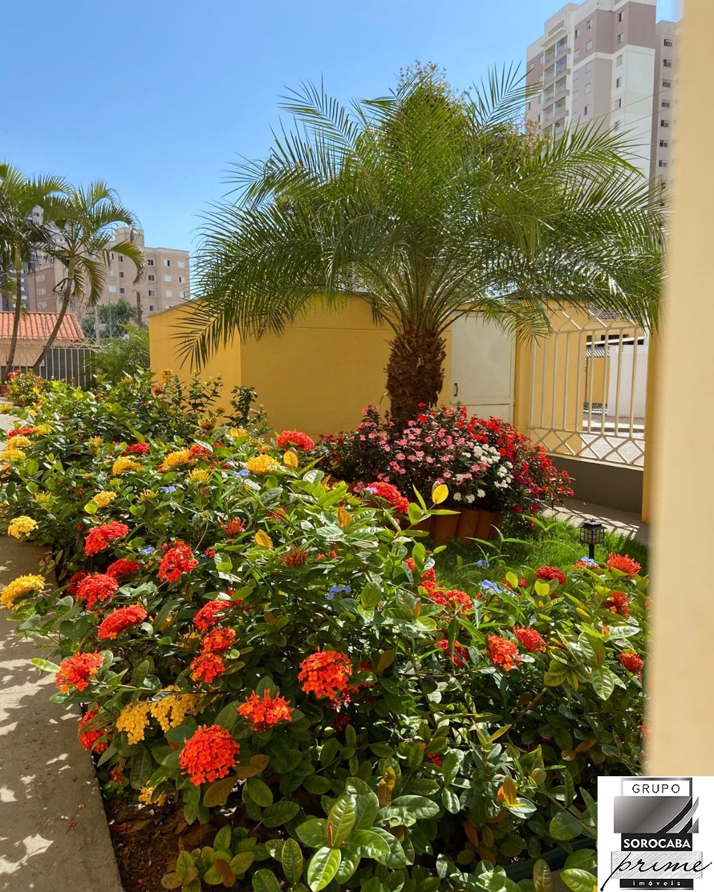 Apartamento 75m com 3 dormitórios a venda R$259.000,00