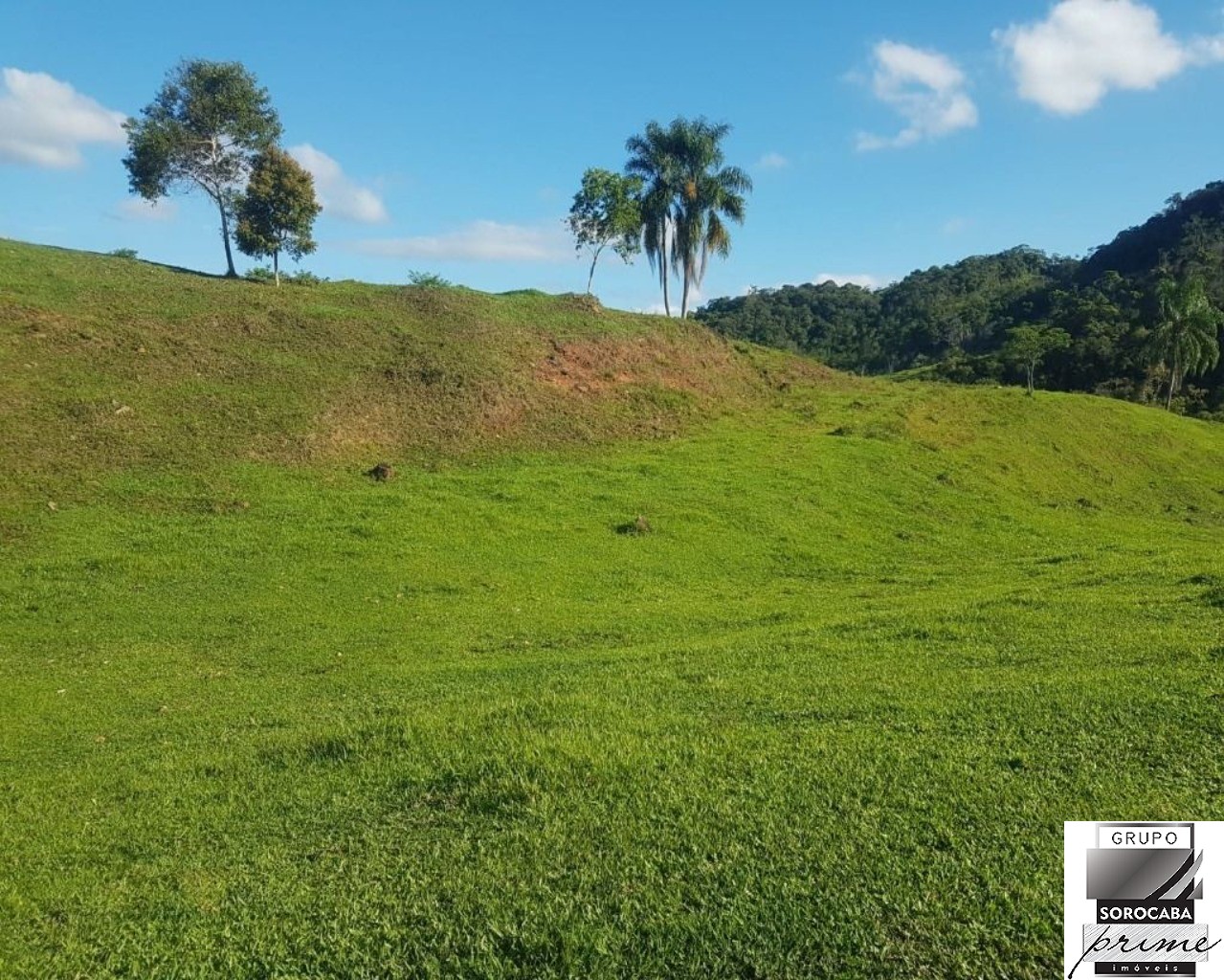 Fazenda à venda, 202000 m² por R$ 860.000 - serra - iporanga