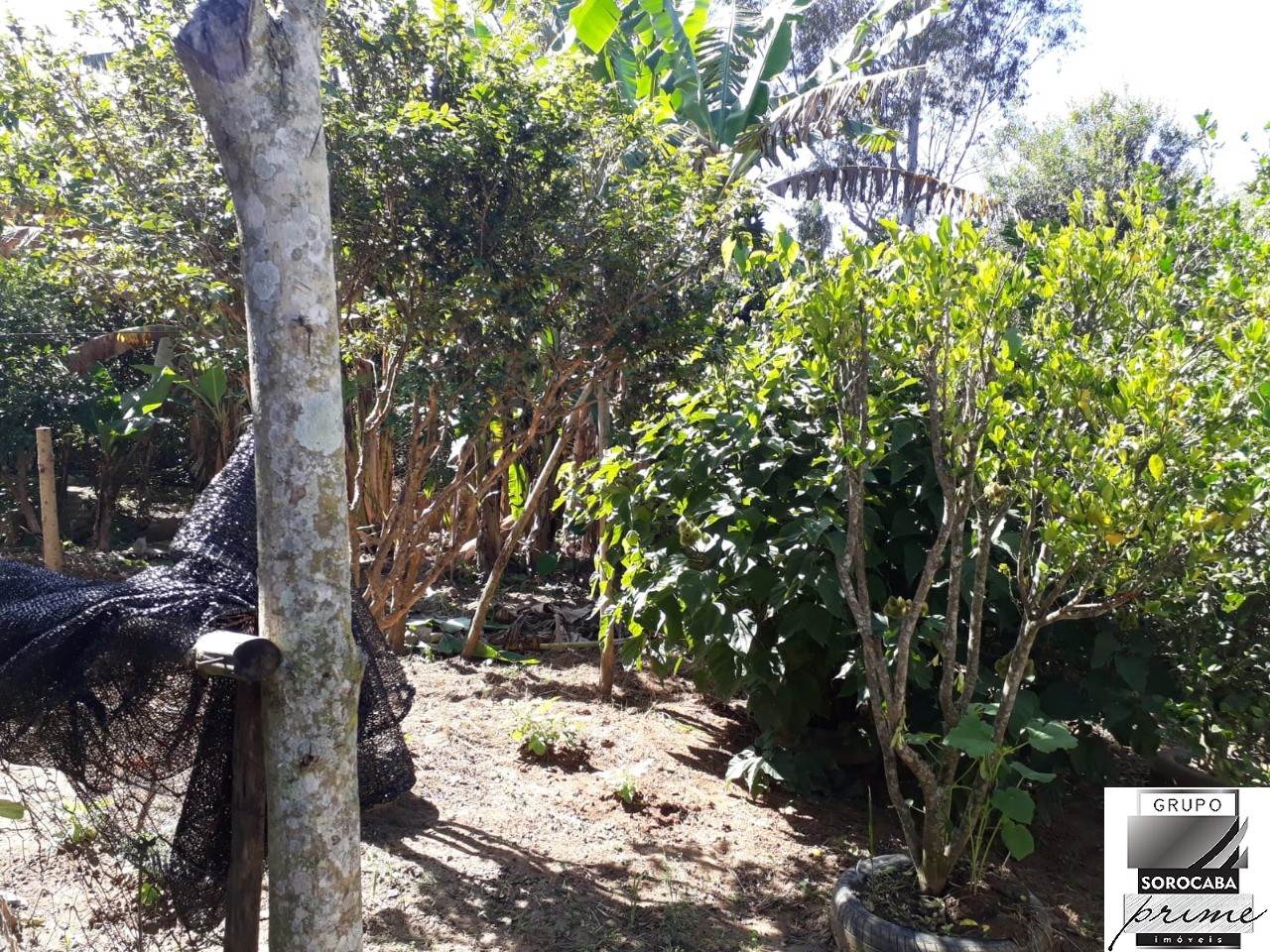 Chácara com 3 dormitórios à venda, 1500 m² por R$ 180.000 - 