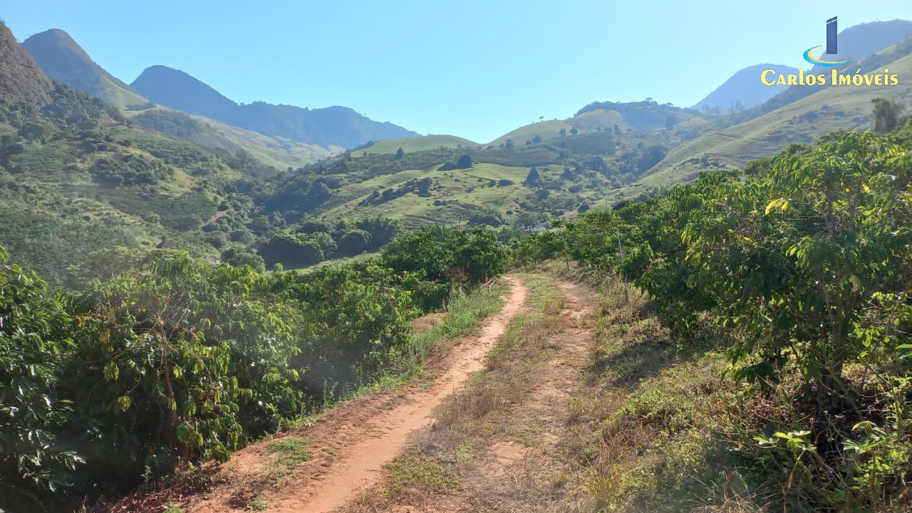 Fazenda para Comprar em Centro - MIMOSO DO SUL - ES