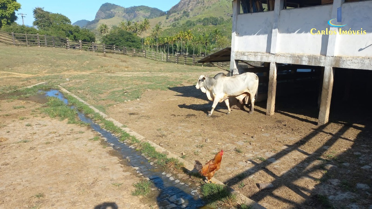Fazenda para Comprar em Centro - MIMOSO DO SUL - ES