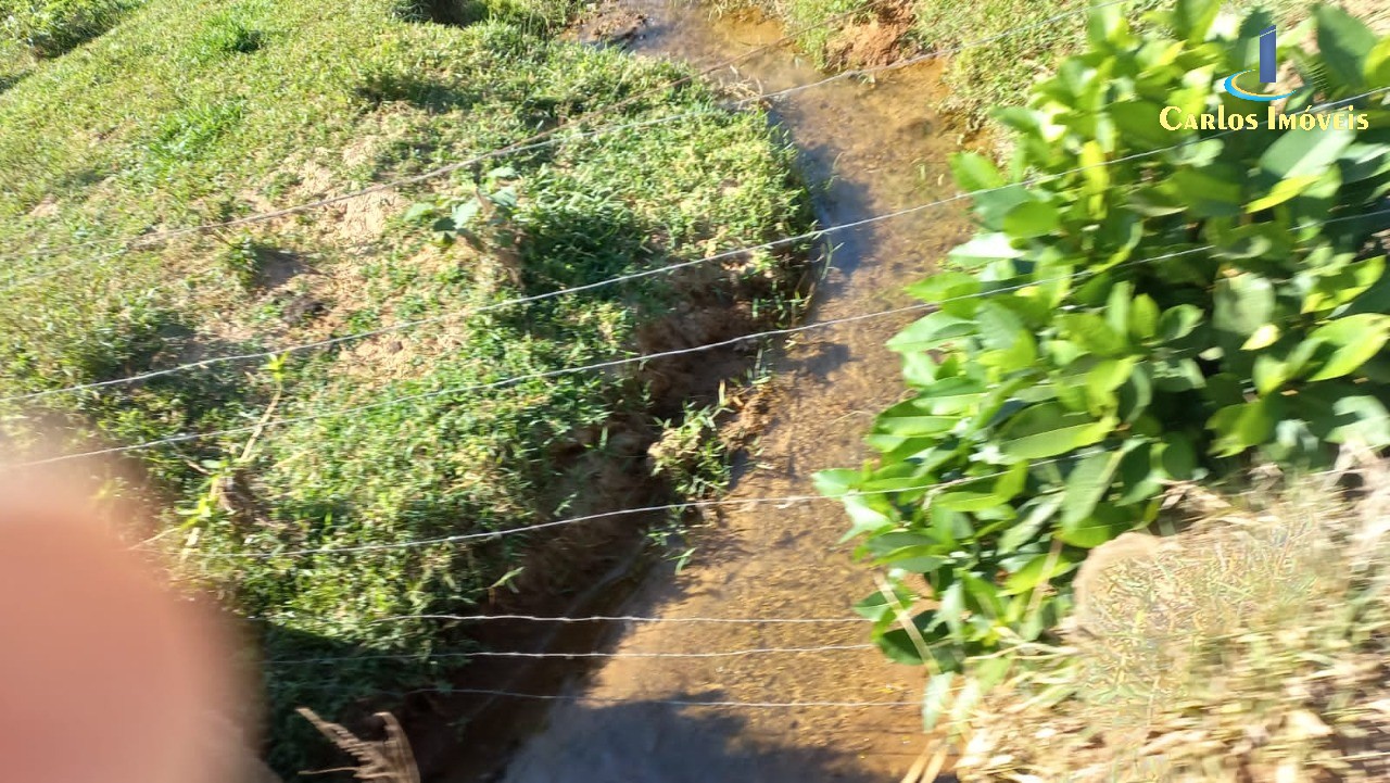 Fazenda para Comprar em Centro - MIMOSO DO SUL - ES