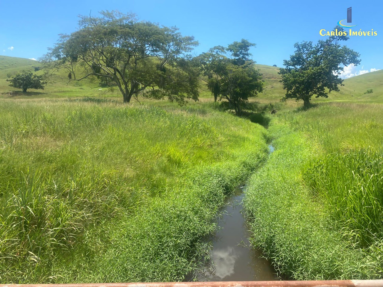 Fazenda para Comprar em Centro - MIMOSO DO SUL - ES