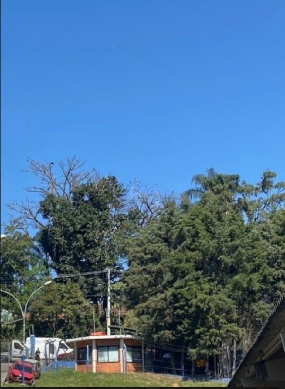 Galpão para alugar em São Paulo, Três Cruzes
