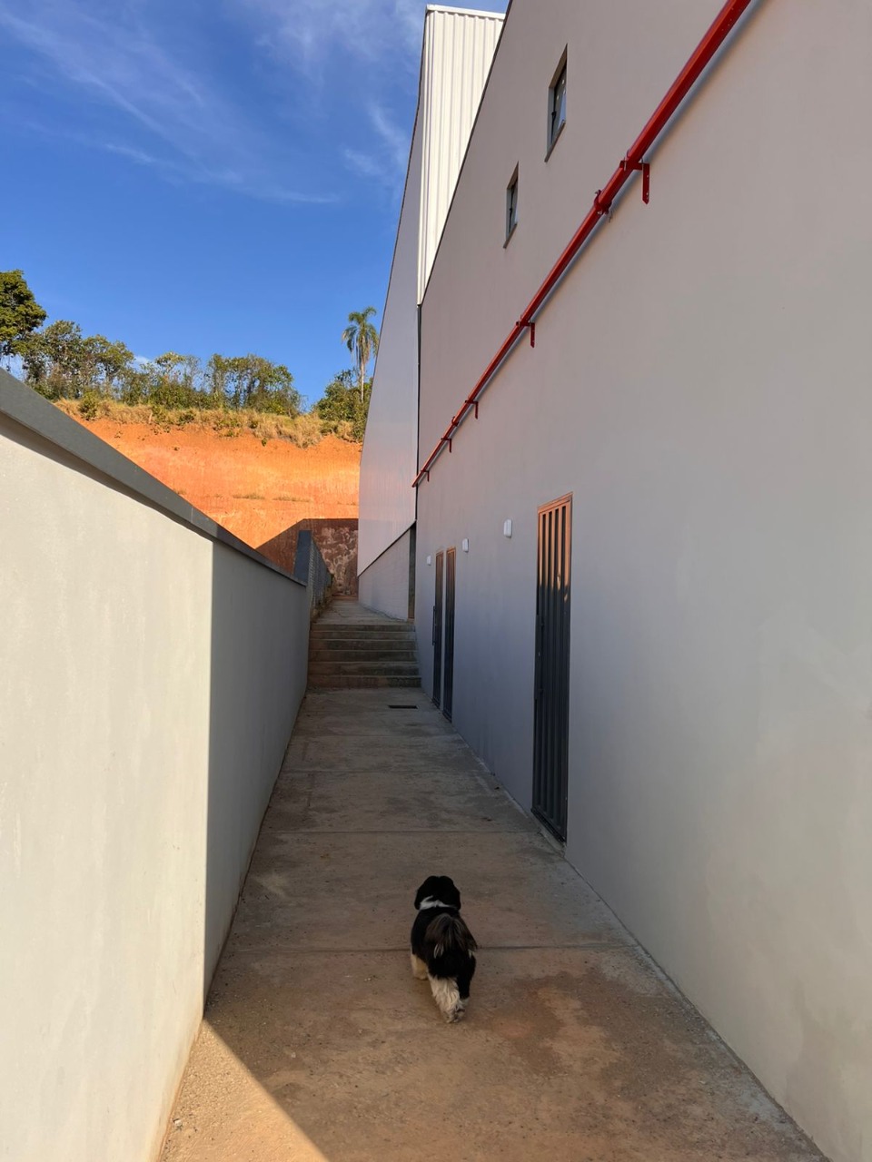 Galpão para alugar ou vender em cambuí mg