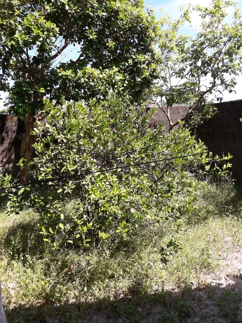 Casa, 2 quartos, 100 m² - Foto 12