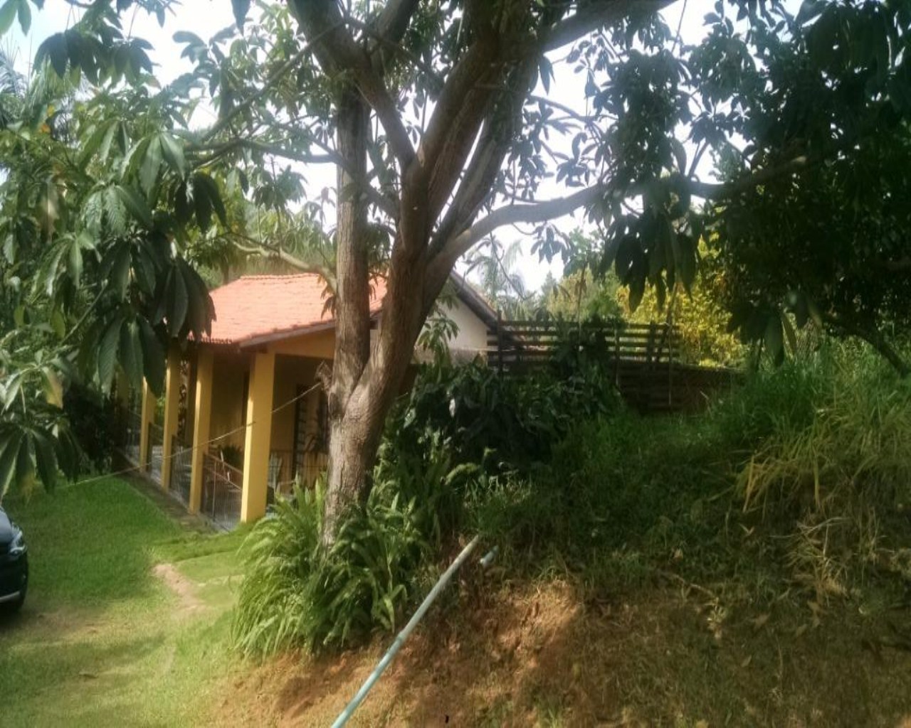 Terreno, 2 hectares - Foto 2