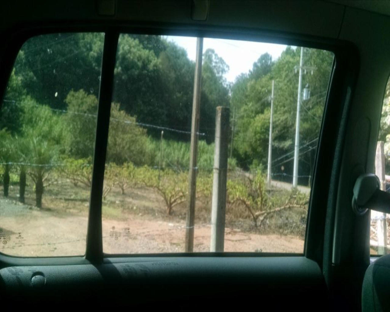 Terreno, 2 hectares - Foto 10