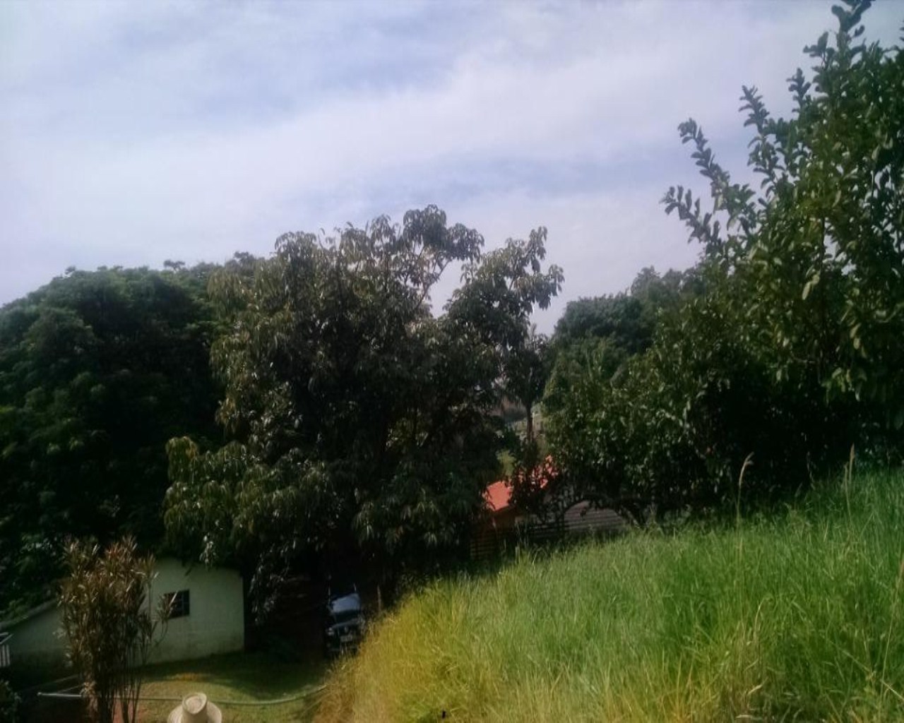 Terreno, 2 hectares - Foto 11