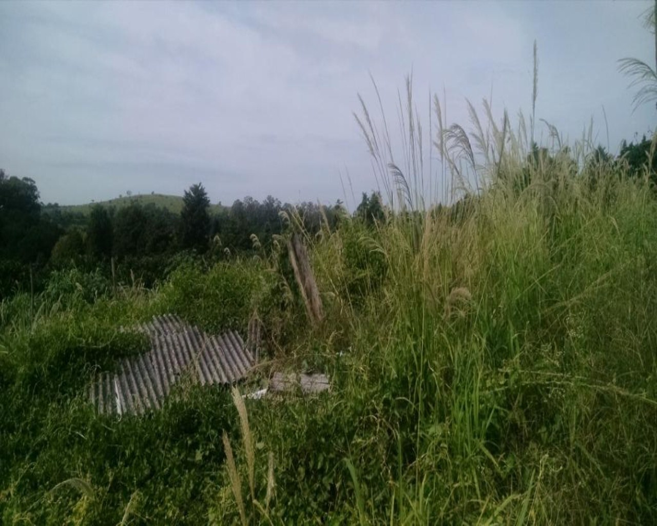 Terreno, 2 hectares - Foto 12