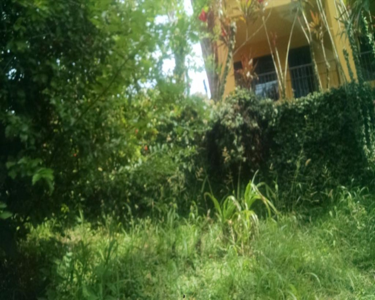 Terreno, 2 hectares - Foto 15