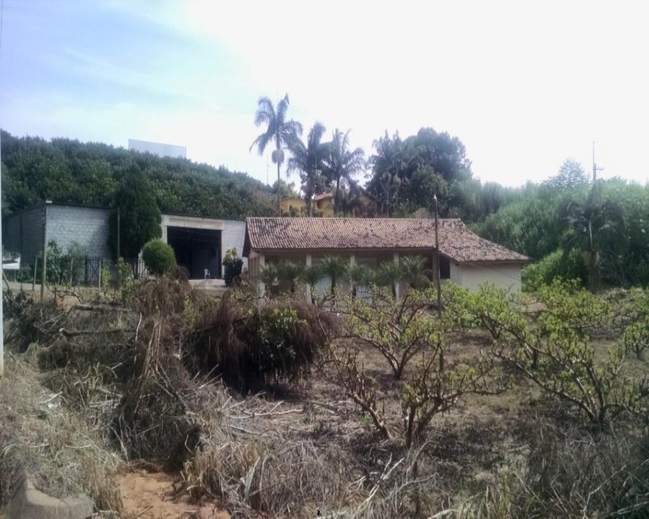 Terreno, 2 hectares - Foto 18