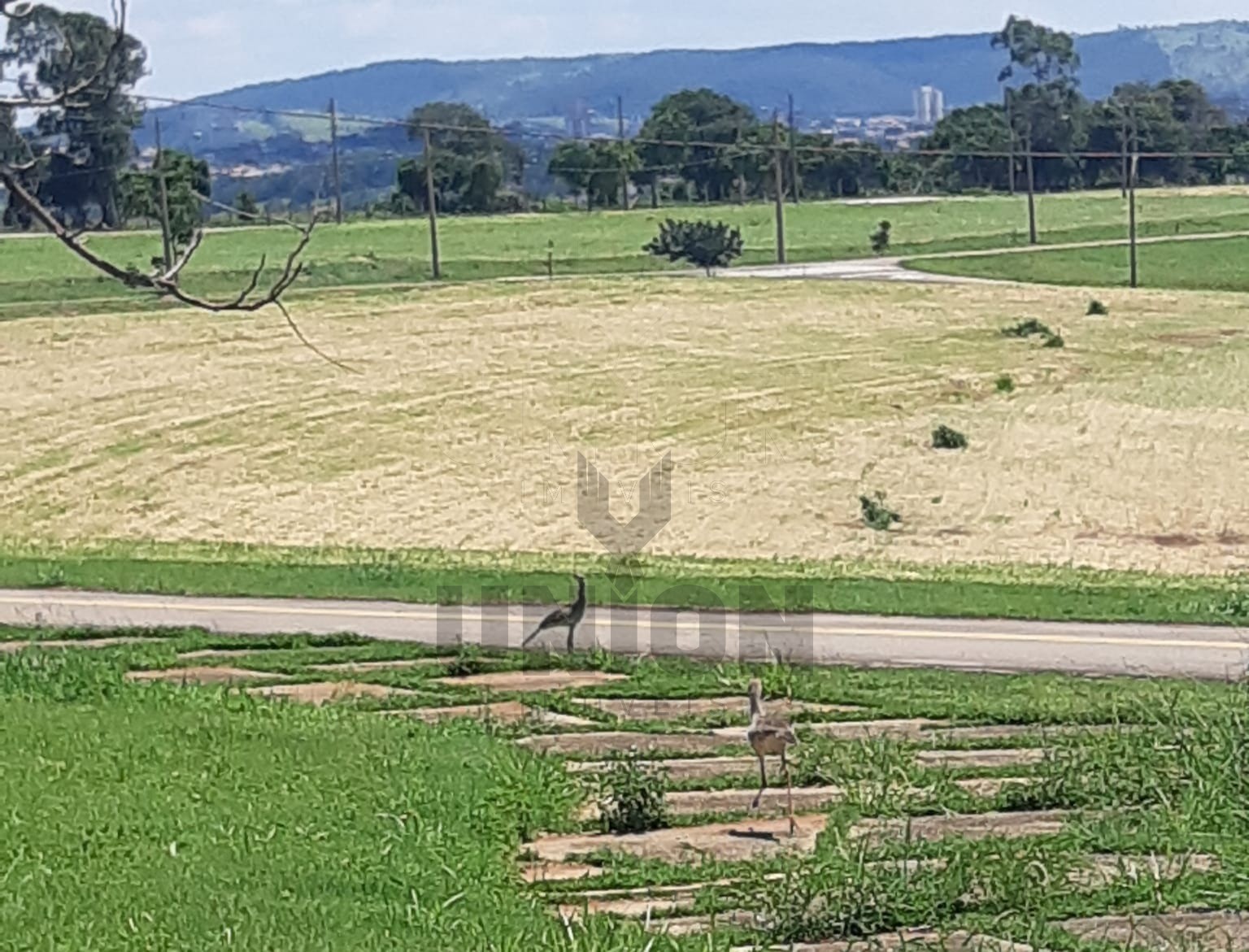 Terreno, 1000 m² - Foto 6