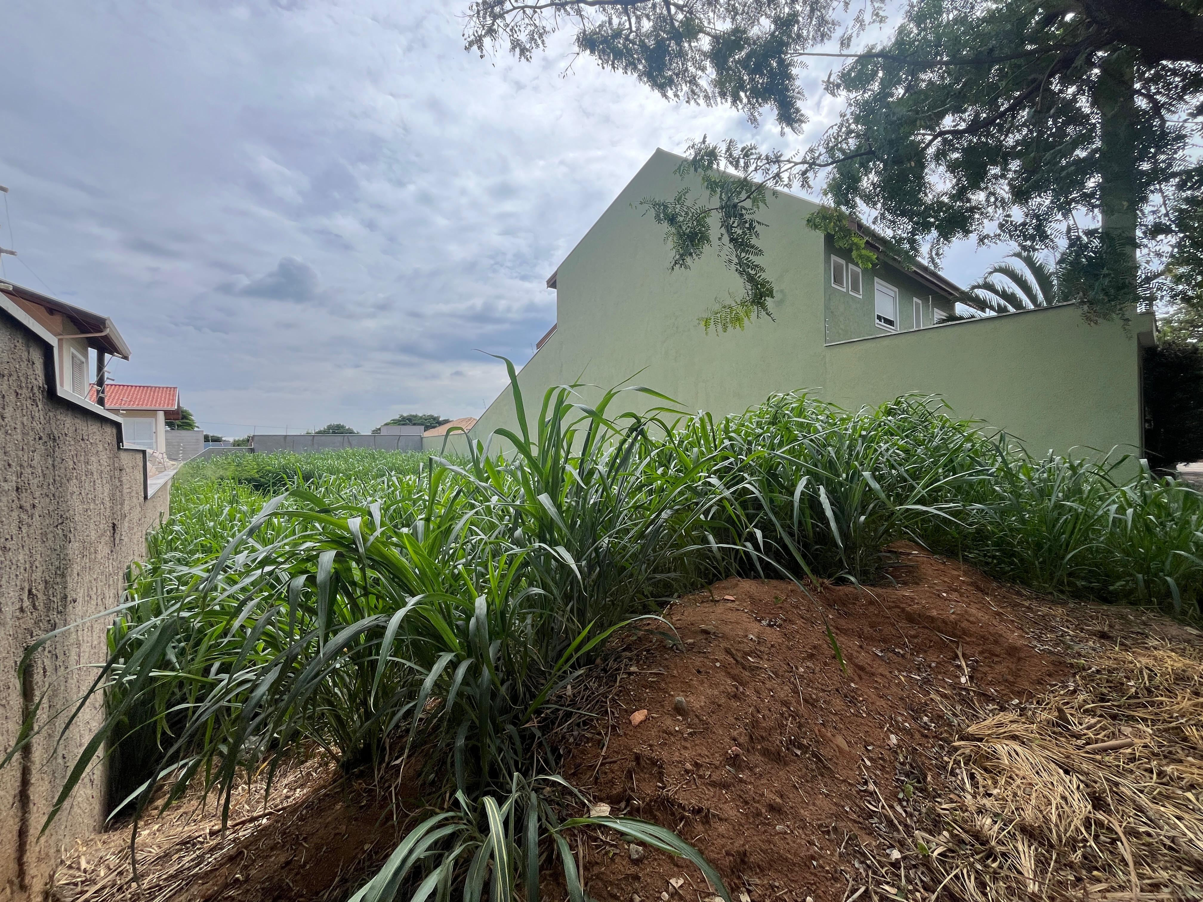 Terreno, 388 m² - Foto 3