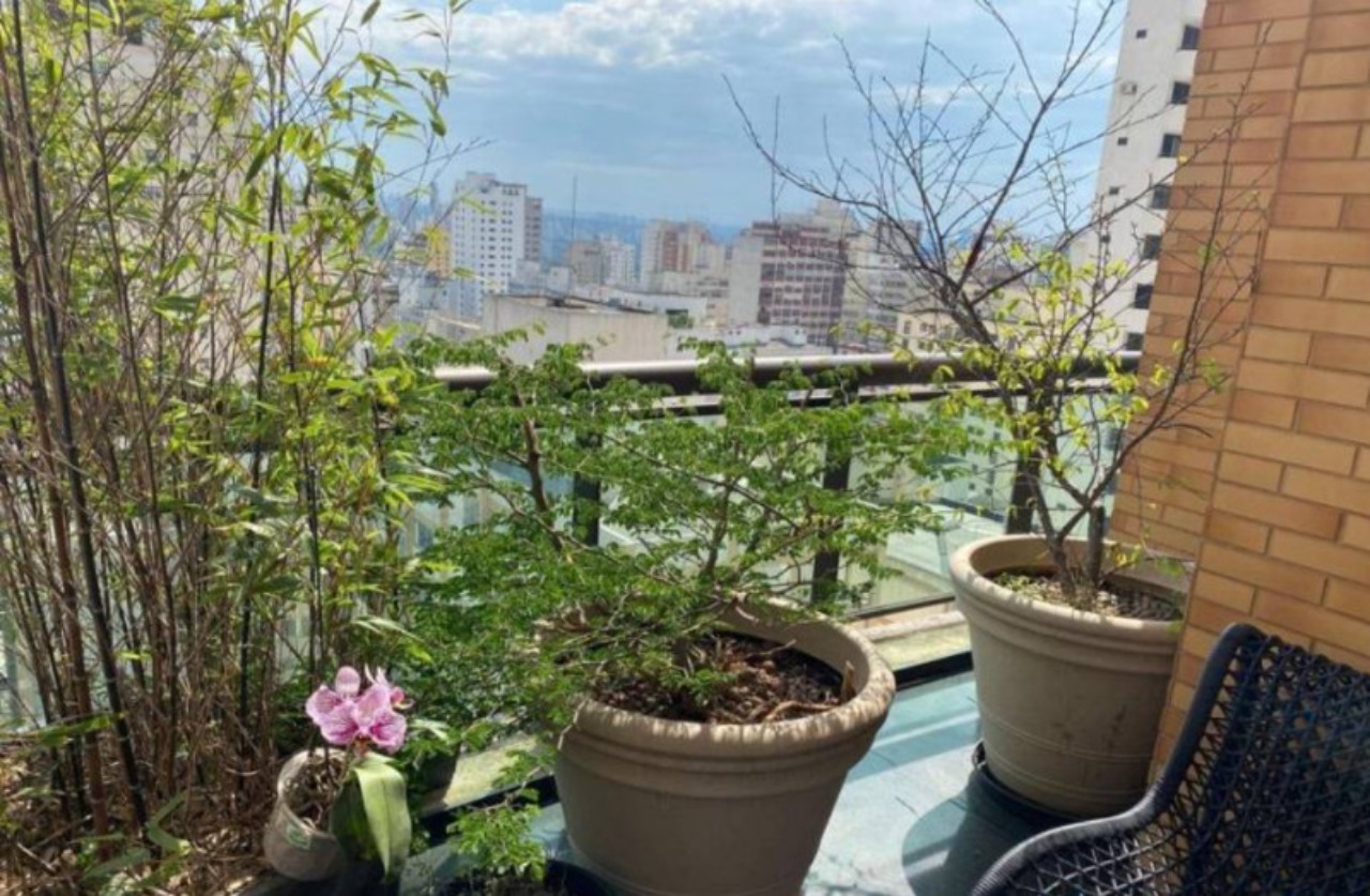 Apartamento, 3 quartos, 270 m² - Foto 15