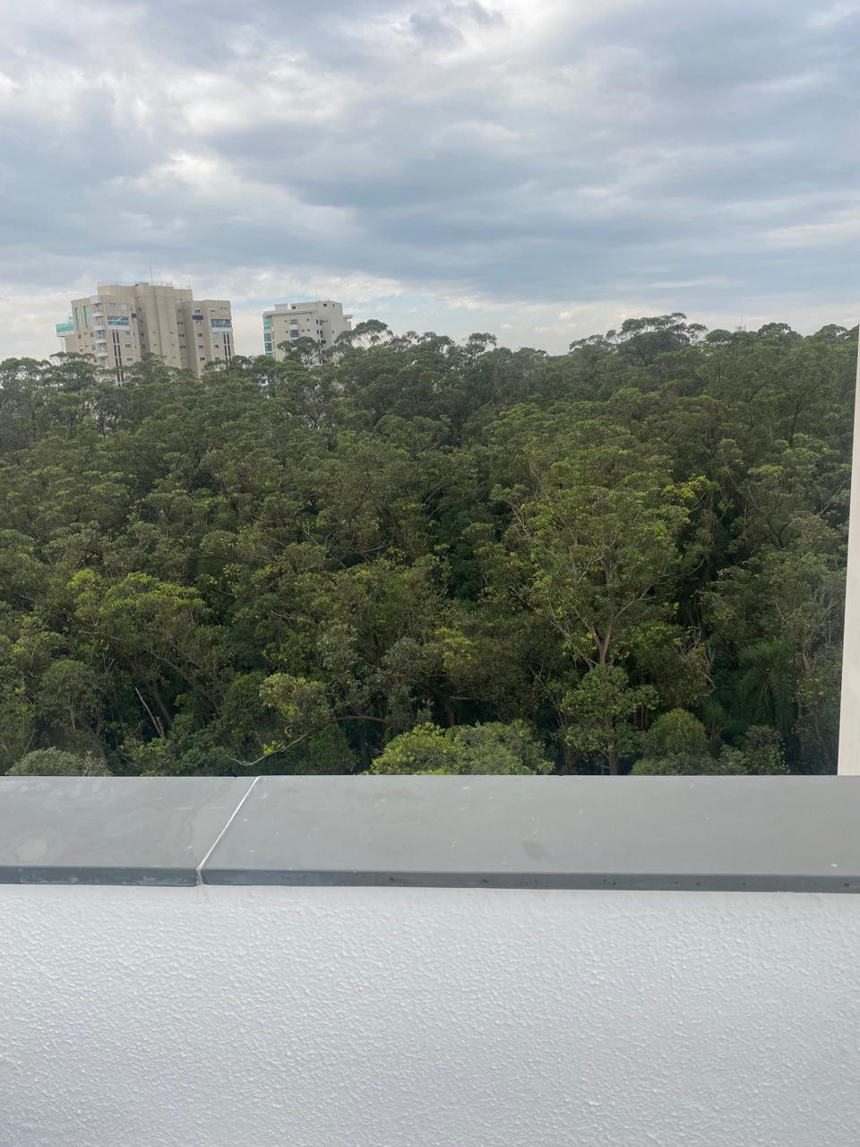 Cobertura, 4 quartos, 176 m² - Foto 21