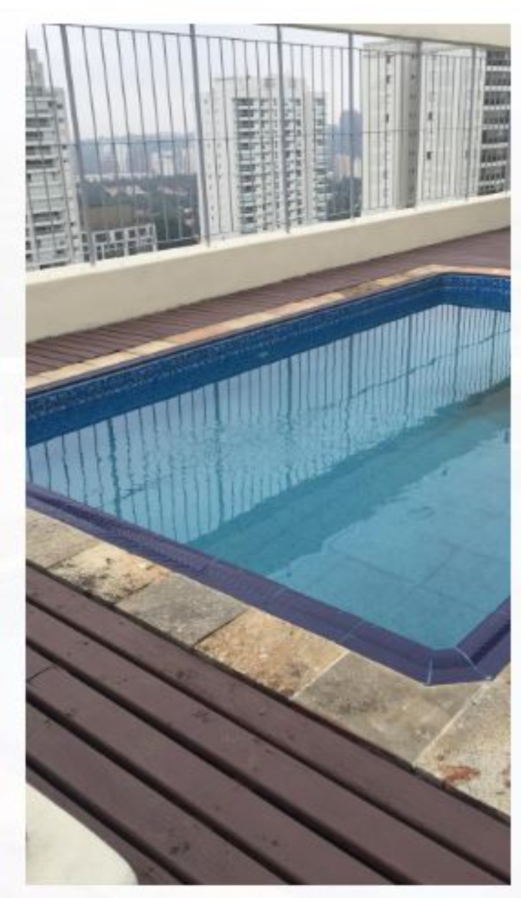 Cobertura, 4 quartos, 650 m² - Foto 11