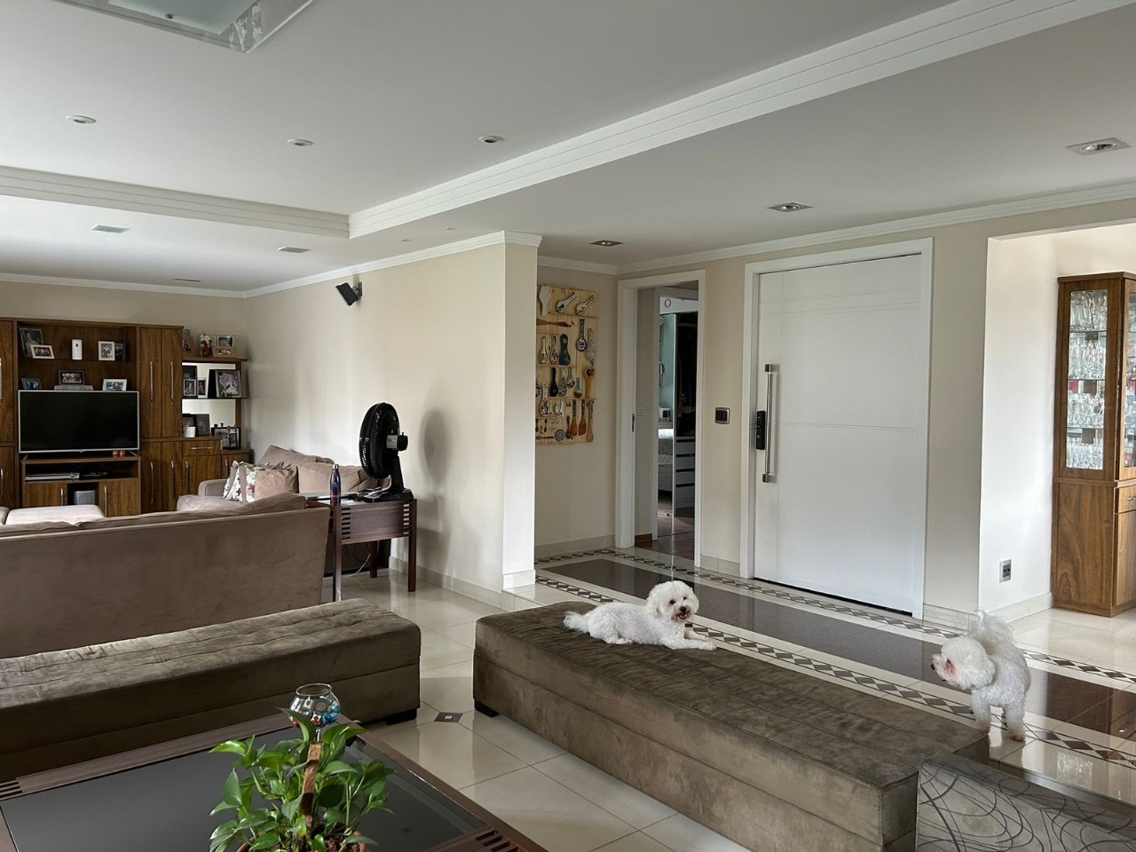 Apartamento, 3 quartos, 190 m² - Foto 5
