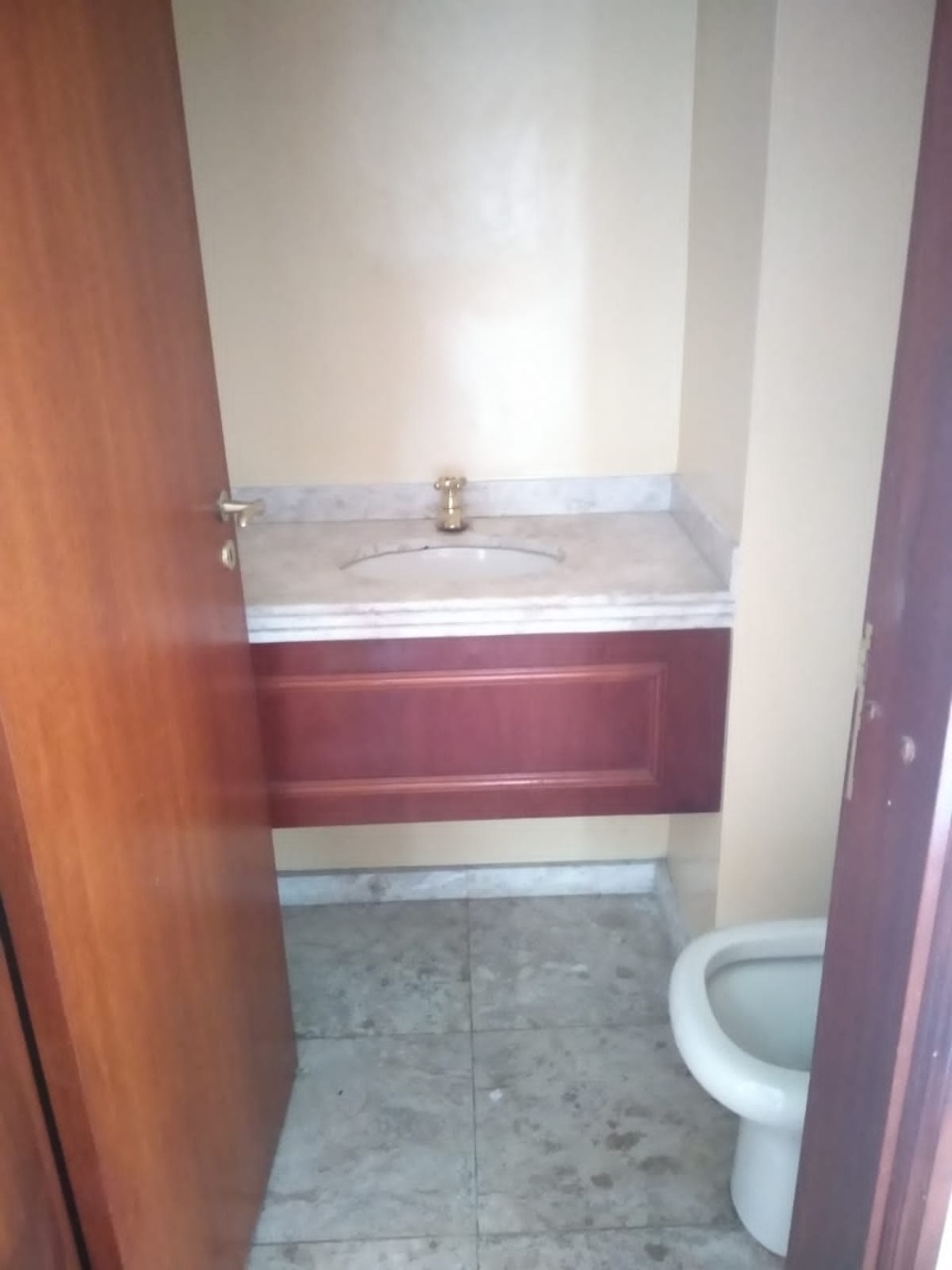 Apartamento, 4 quartos, 250 m² - Foto 6