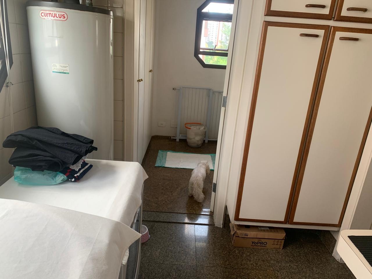 Apartamento, 4 quartos, 180 m² - Foto 22