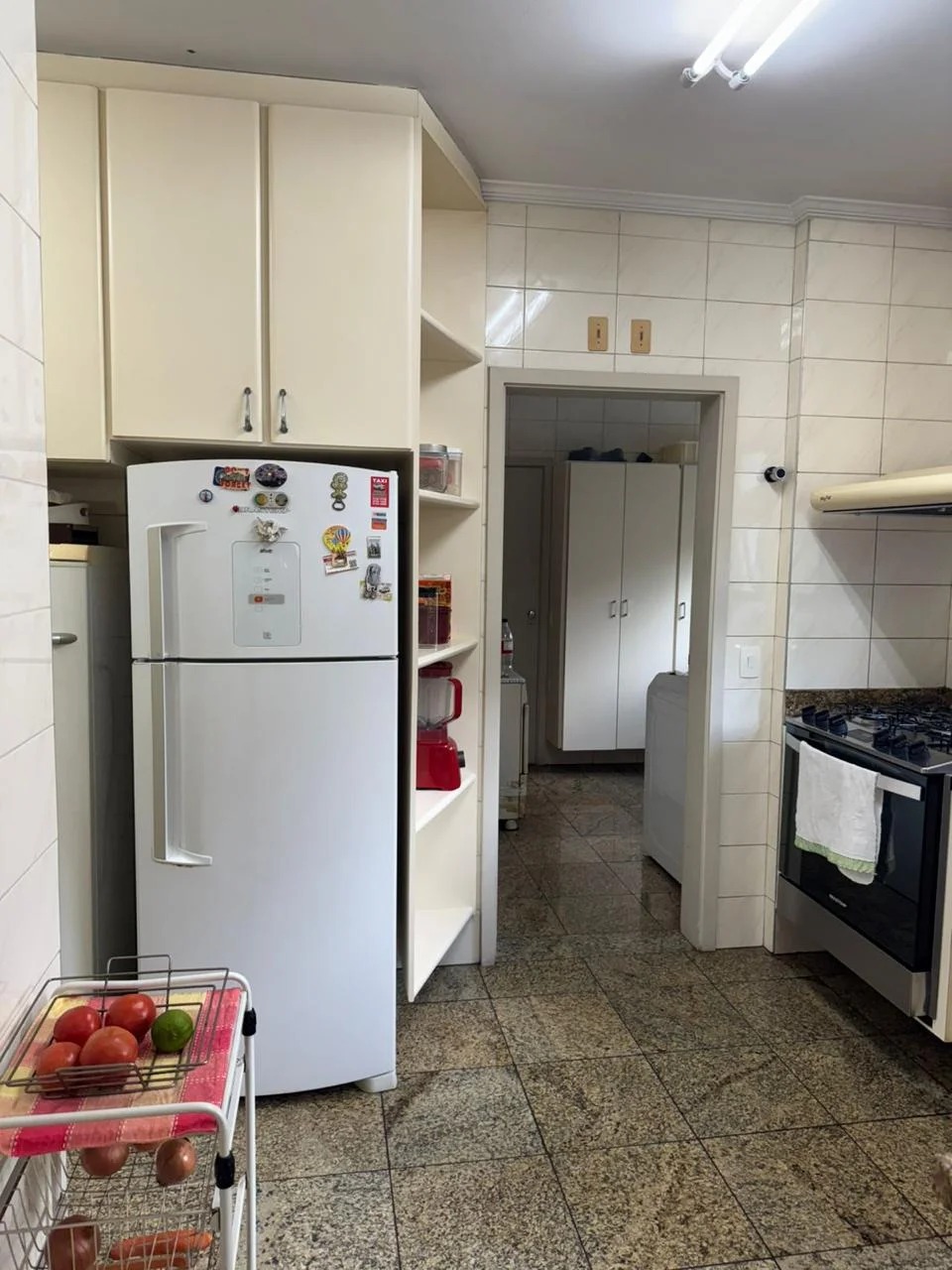 Apartamento, 3 quartos, 250 m² - Foto 8