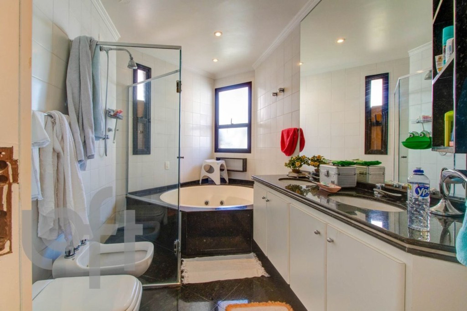 Apartamento, 4 quartos, 250 m² - Foto 14