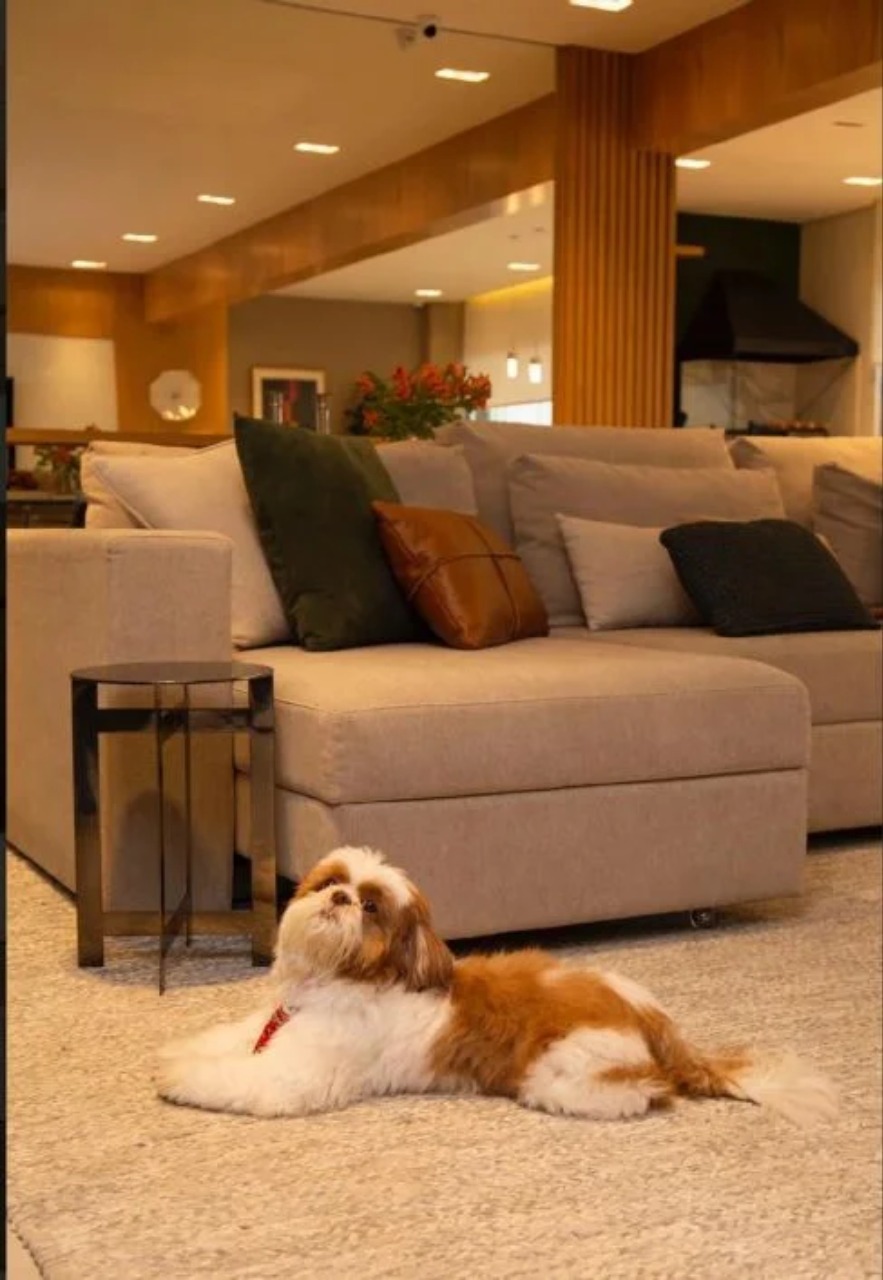 Apartamento, 3 quartos, 181 m² - Foto 9