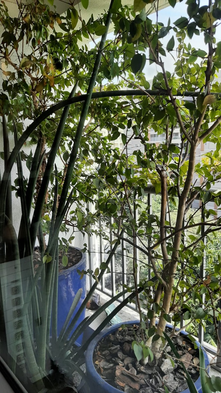 Apartamento, 1 quarto, 70 m² - Foto 60