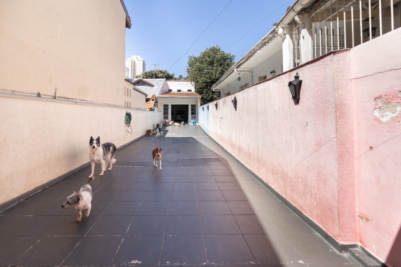 Casa, 2 quartos, 225 m² - Foto 16