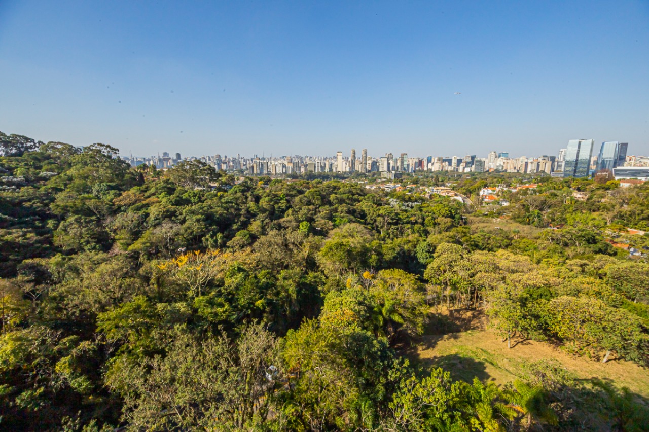Apartamento, 4 quartos, 650 m² - Foto 8