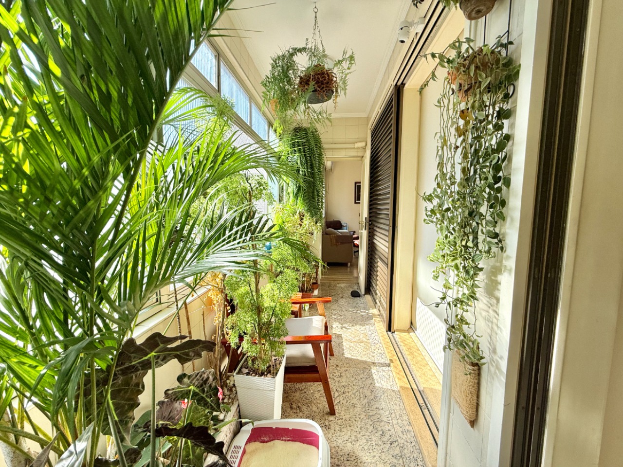 Apartamento, 3 quartos, 260 m² - Foto 14