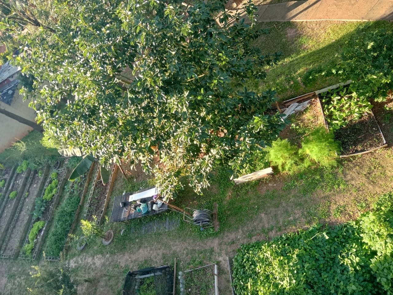 Apartamento, 2 quartos, 45 m² - Foto 6