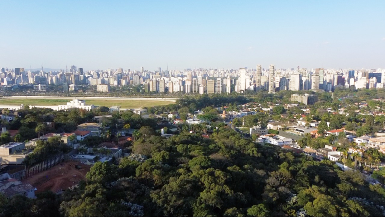 Apartamento, 4 quartos, 650 m² - Foto 35