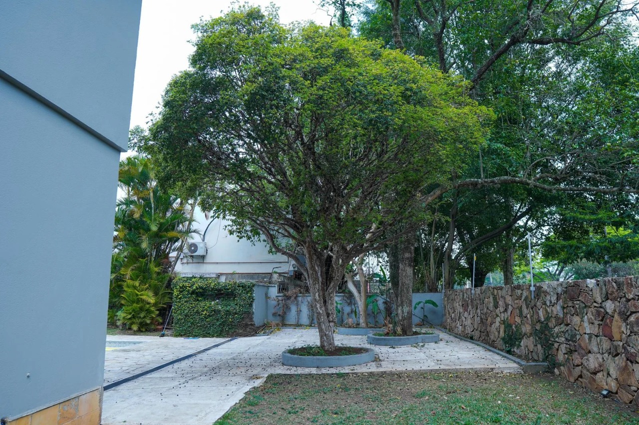 Casa, 5 quartos, 480 m² - Foto 8