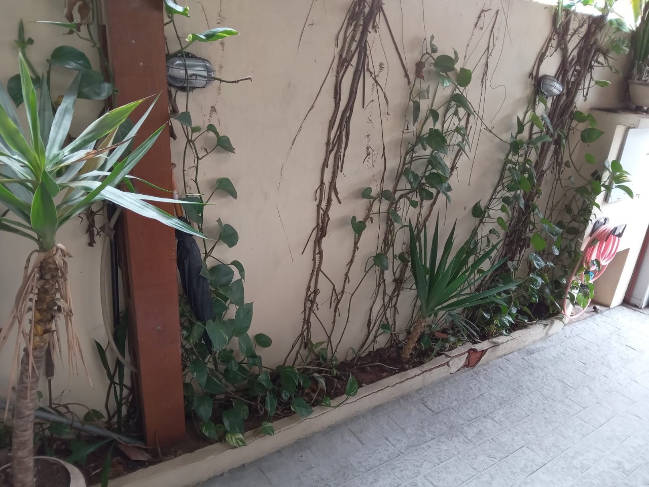 Casa, 3 quartos, 124 m² - Foto 13