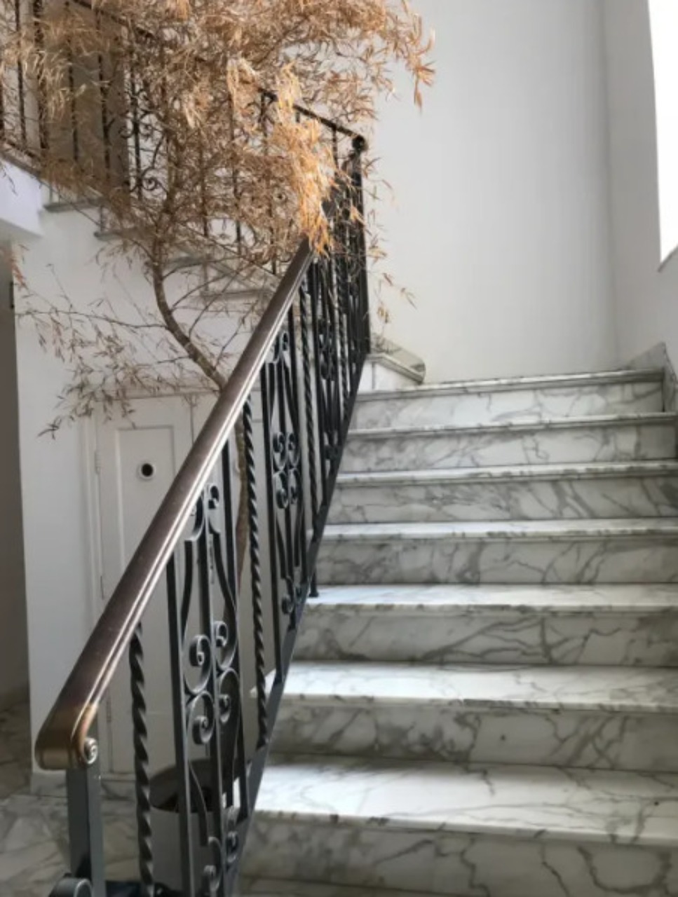 Casa, 6 quartos, 350 m² - Foto 18