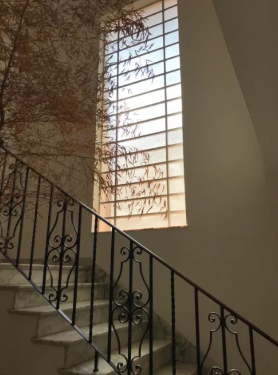 Casa, 6 quartos, 350 m² - Foto 11