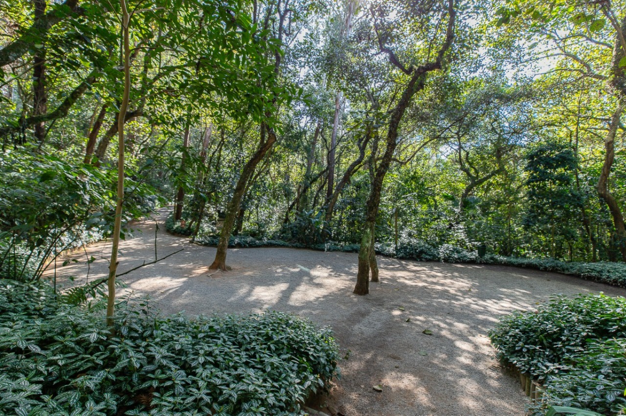 Apartamento, 4 quartos, 200 m² - Foto 65