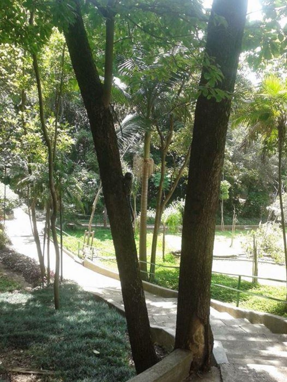 Apartamento, 4 quartos, 280 m² - Foto 73