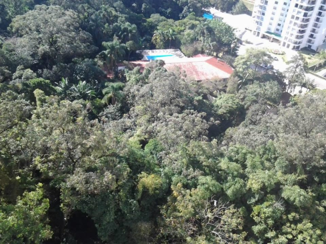 Apartamento, 4 quartos, 280 m² - Foto 70