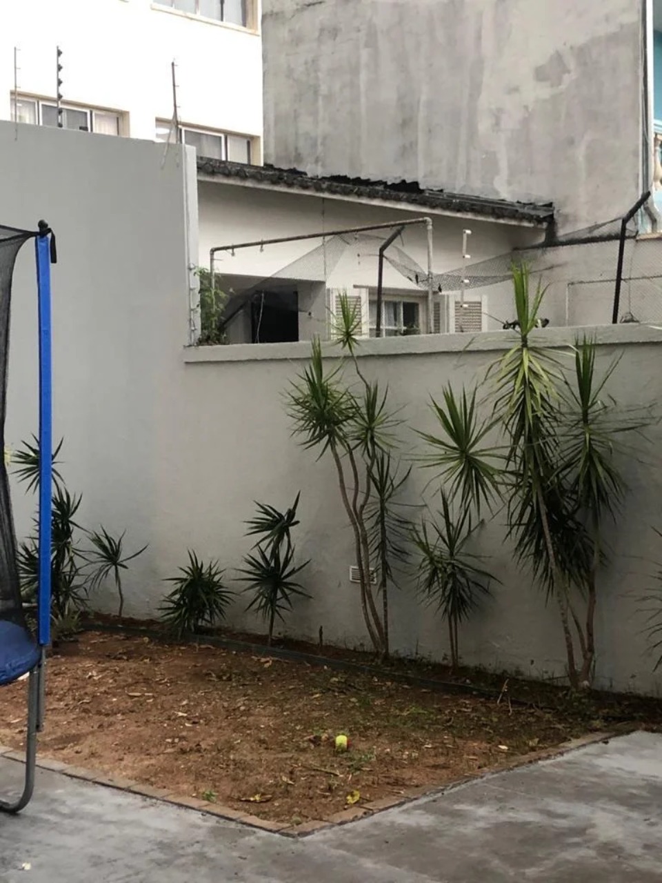 Casa, 3 quartos, 250 m² - Foto 18