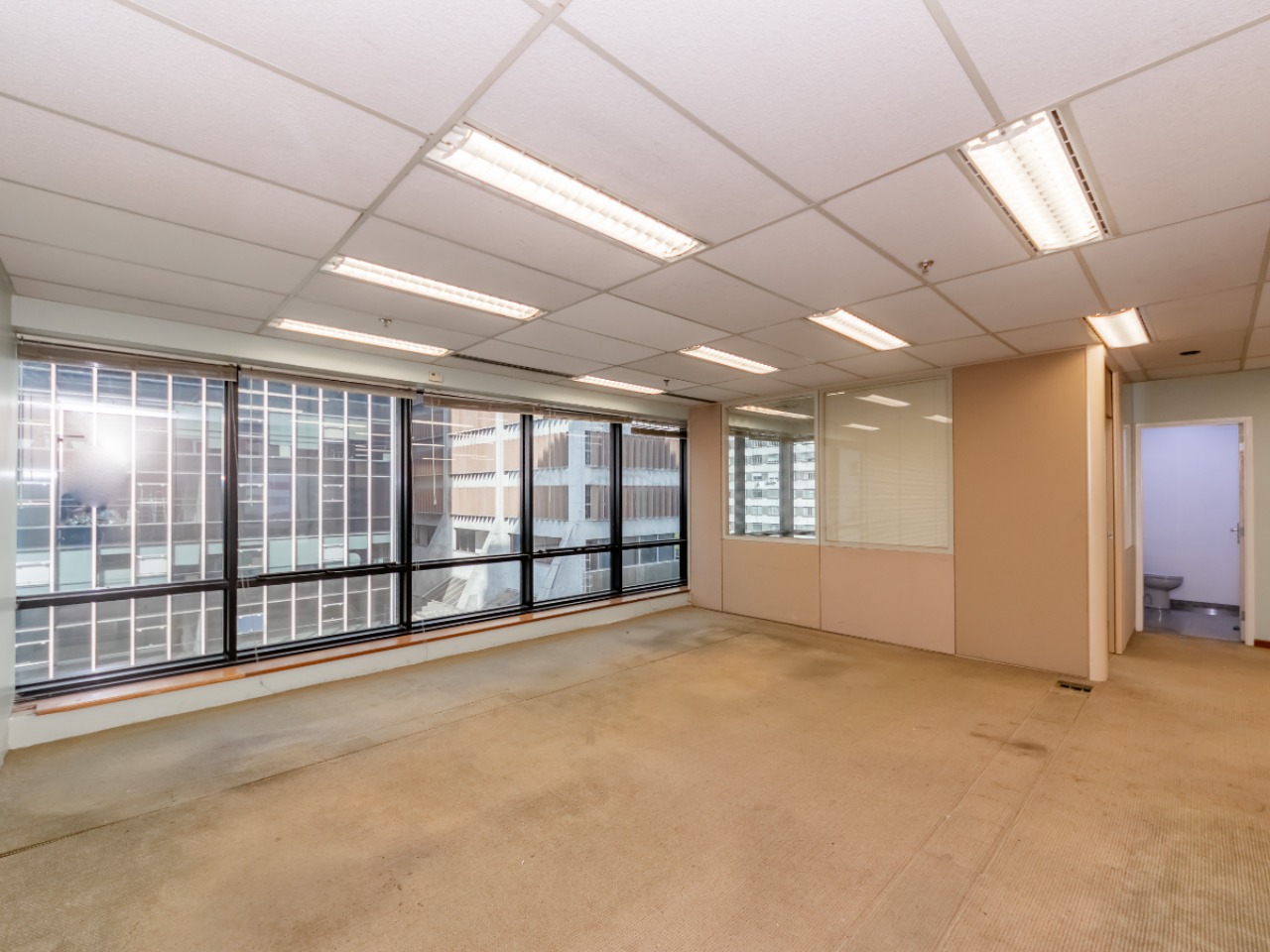 Sala-Conjunto, 440 m² - Foto 7