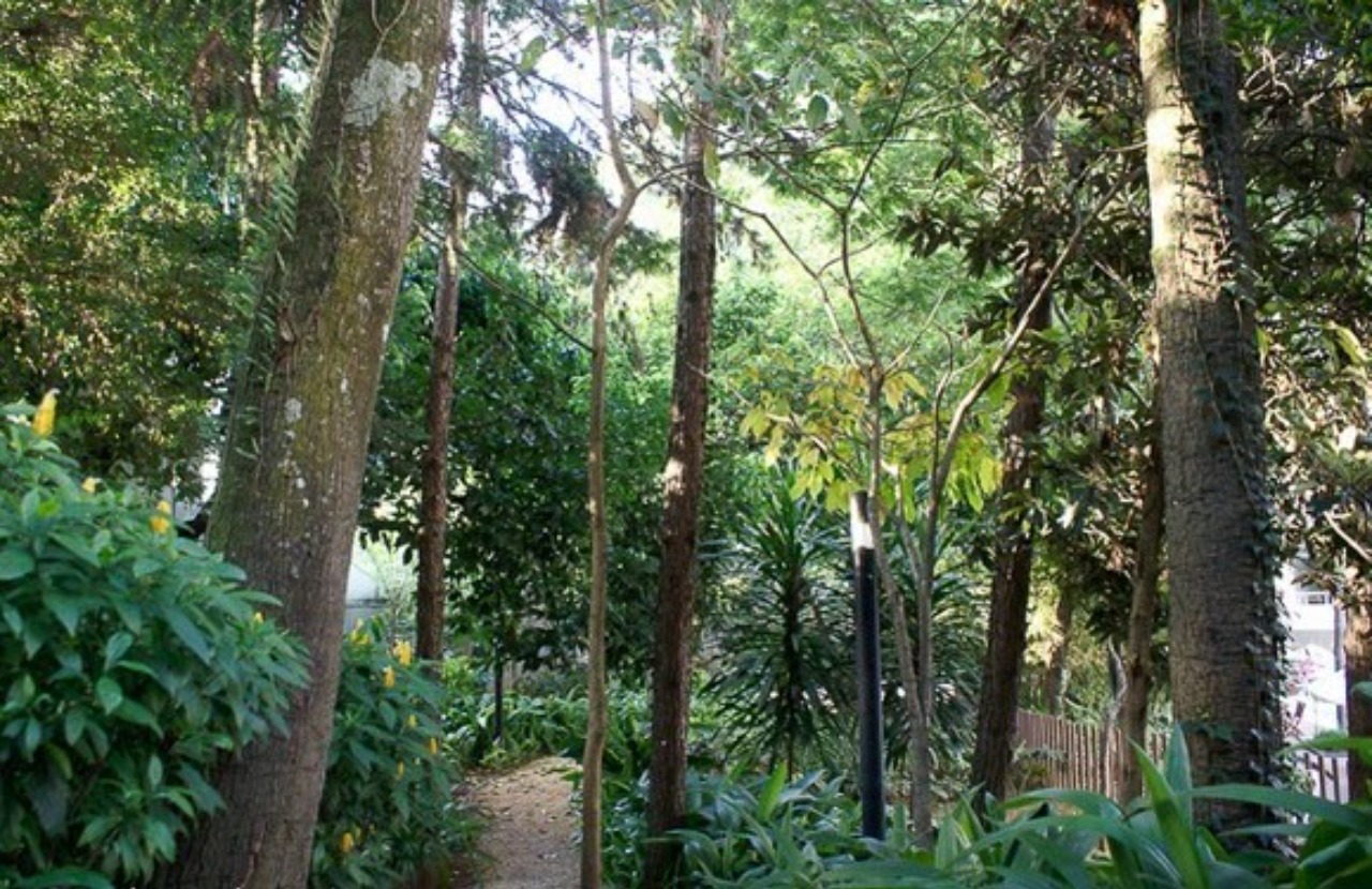Apartamento, 3 quartos, 180 m² - Foto 7