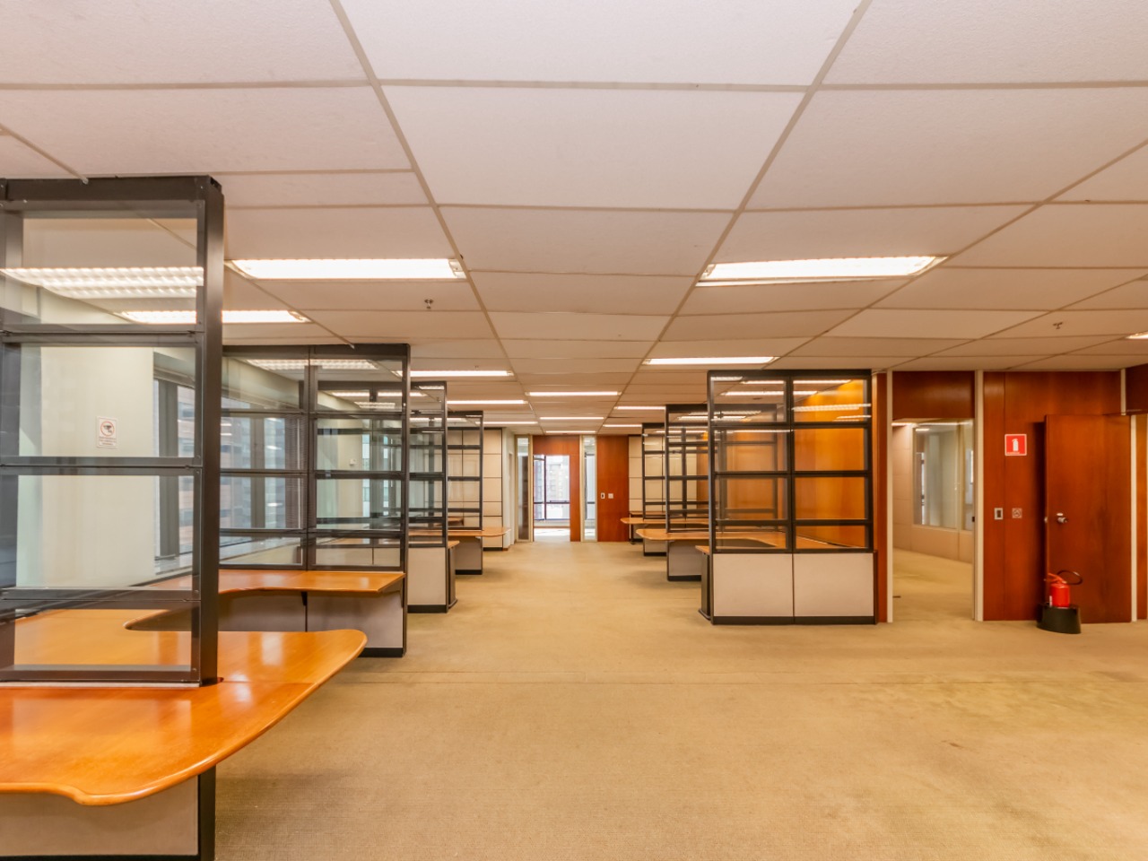 Sala-Conjunto, 440 m² - Foto 10