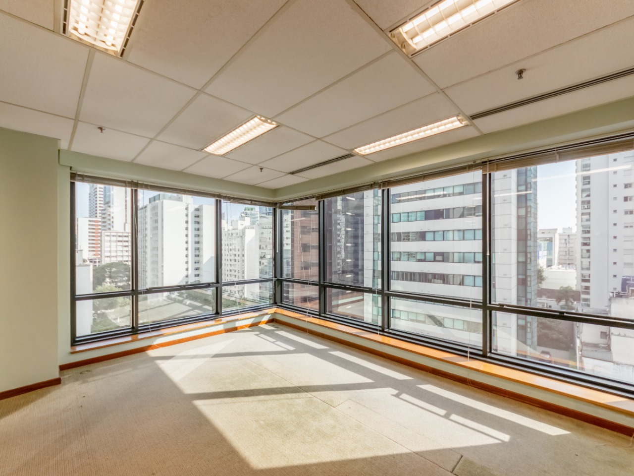 Sala-Conjunto, 440 m² - Foto 8