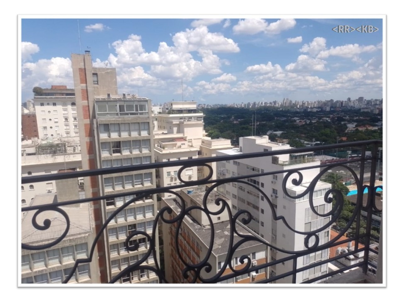 Cobertura, 5 quartos, 578 m² - Foto 11