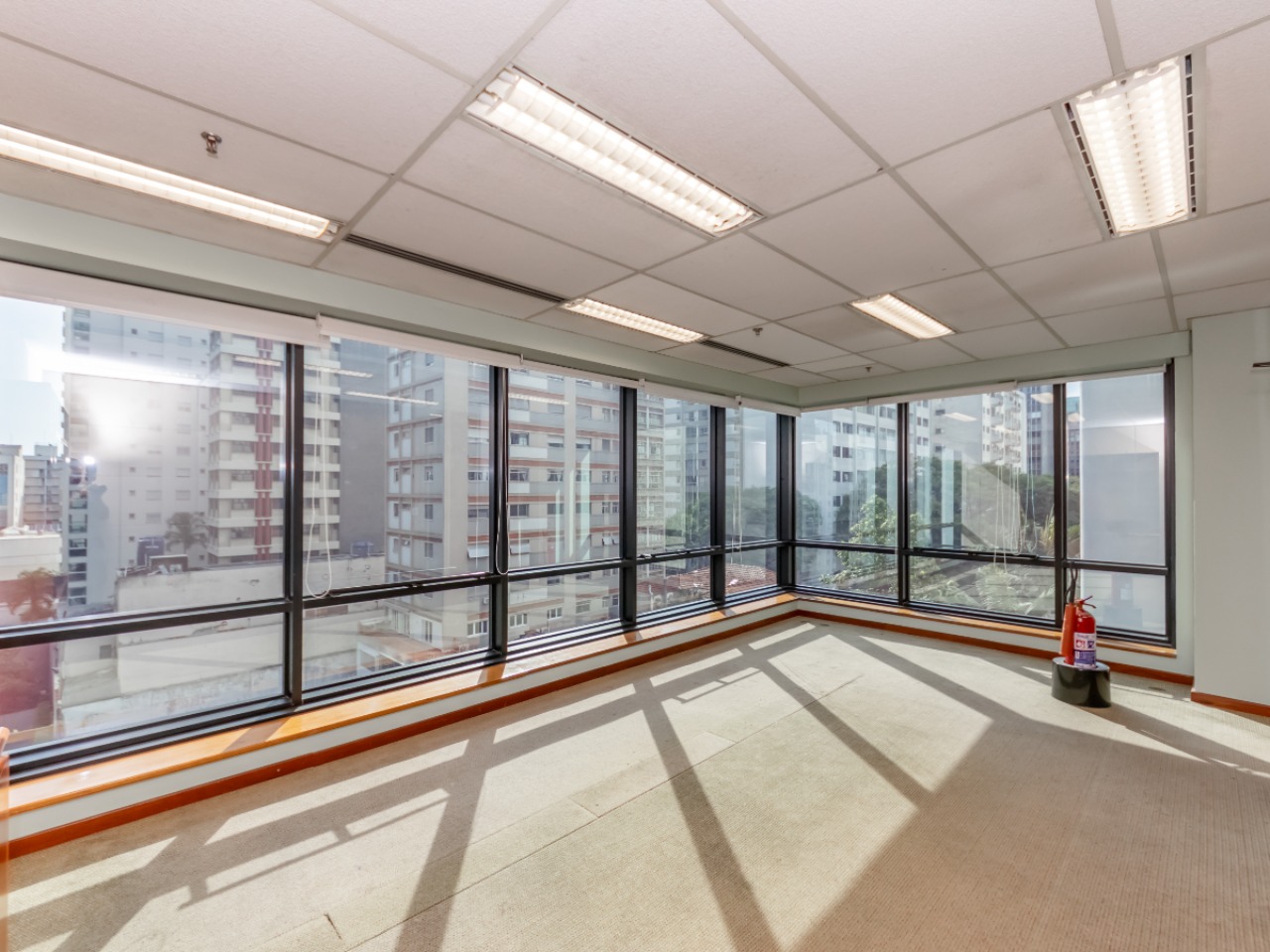Sala-Conjunto, 440 m² - Foto 6