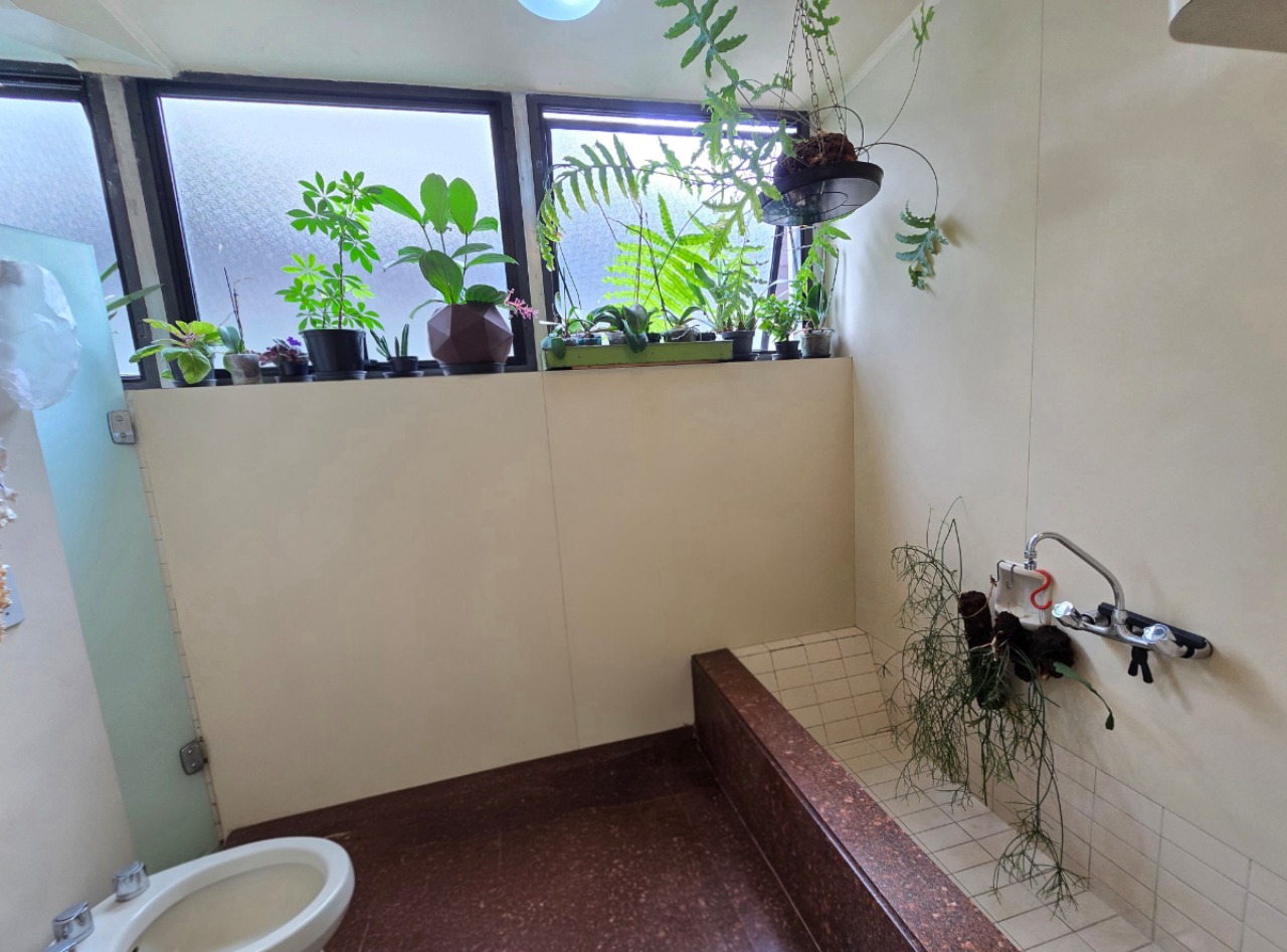 Apartamento, 6 quartos, 370 m² - Foto 10